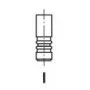 Клапан (впуск) Citroen Jumper/Peugeot Boxer/Iveco Daily 3.0HDI 04-