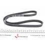 Ремінь генератора Fiat Doblo/Fiorino/Linea/Qubo 1.3JTD (4PK1022) (більше не постачається)