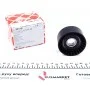 Ролик генератора Renault Trafic/Master 1.9-2.5DI/dTi (паразитний) (60х31)