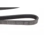 Ремінь генератора Mitsubishi Pajero 3.0 V6 90-00/ Chevrolet Matiz 1.0 05-/ Mazda Demio 1.3-1.5 98-03