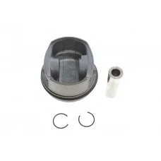 Поршень VW Passat/Golf 1.6 95-04 (81.01mm/STD)