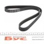 Ремінь генератора Audi A3/A4/Seat Leon/VW Caddy/Passat/Tiguan 1.6-2.0TDI (6PK1025)