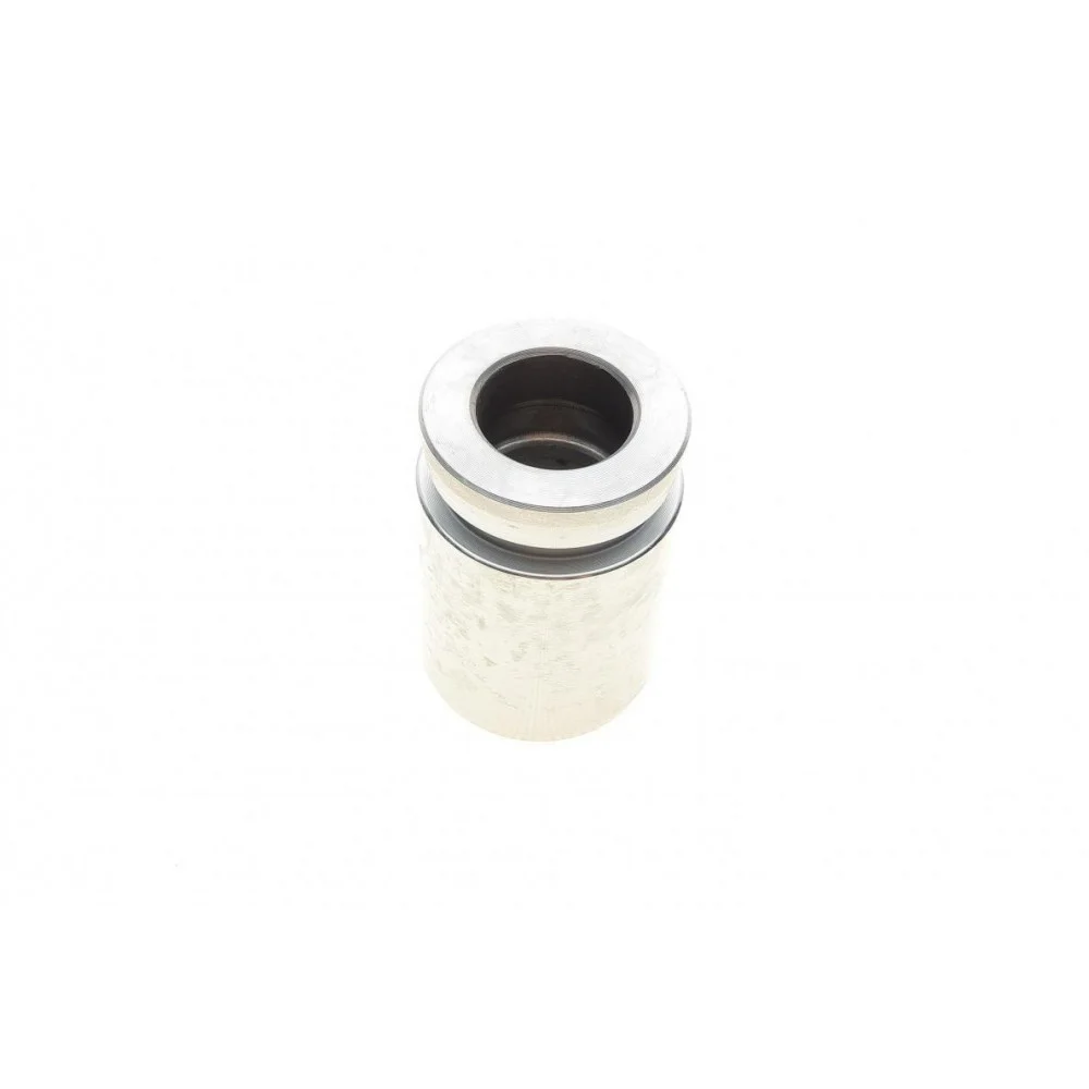 Поршень супорта (заднього) BMW 3 (E30)/5 (E28)/7 (E23) 77-94 (33x48mm) (Ate)