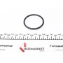 Прокладка термостата VW T4/T5 1.9/2.0 TD/TDI 90-09 (50x58x4)