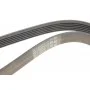 Ремінь генератора Ford Focus 1.4/1.6i 03-/Volvo C30/S40/V50 1.6 05-12 (6PK1059)