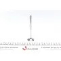 Клапан (випуск) Renault Kangoo 1.9 97- (31,5x8x110) (вальцювання)