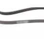 Ремінь генератора VW Passat 1.9TDI 96-00/Audi A4/A6 1.9TDI 95-01/Kia Carnival 2.9TDi/CRDi 99-06