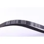Ремінь генератора Mitsubishi Carisma 1.8 95-06/ Galant VI 2.0/2.4 GDI 96-04 (5PK1320)