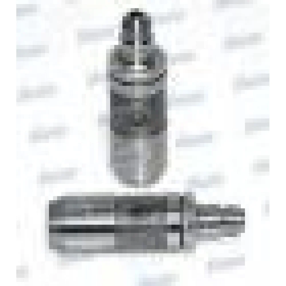 Гідрокомпенсатор Hyundai Elantra/Santa Fe/Kia Ceed 2.0CRDi 01-