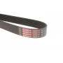 Ремінь генератора Infiniti Q60/Q70/QX50/QX70 3.7 13- (7PK2020XS)