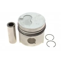Поршень Citroen Berlingo/Peugeot Partner 1.8D 96-02 (80.00mm/STD) = 7137220000