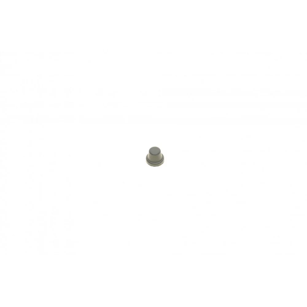 Ремкомплект супорта (переднього) VW Golf/Skoda Fabia 91-14 (d=48mm)(Ate/Bosch)(+1 поршен/направляюч)