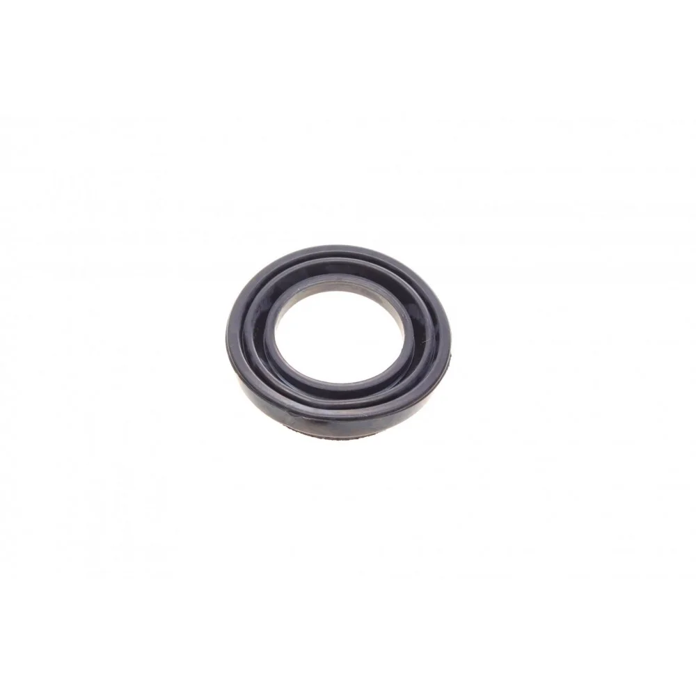 Ремкомплект супорта (заднього) Toyota Mark X 04-/Lexus IS 05- (d=43mm) (Aisin)