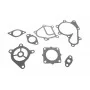 Комплект прокладок (нижній) Nissan Navara/Pathfinder 2.5 dCi 01-
