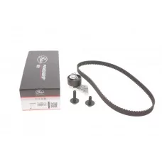 Комплект ГРМ Mazda 2/Ford Fiesta/Focus/Volvo S40/V50 1.25i-1.6 16V 95- (22x117z)