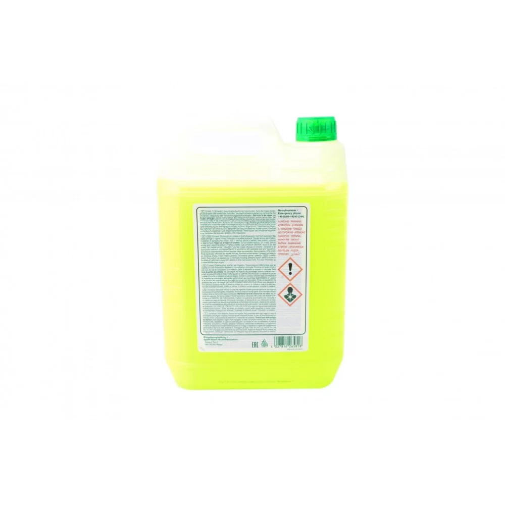 Антифриз (зелений) (5л) (-30°C) Renault Glaceol RX Type D (готовий до застосування)
