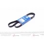 Ремінь генератора Audi A4 1.6-2.0 00-08 (6PK1570)