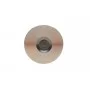 Клапан (впуск) Opel Astra F/Vectra C 1.6 16V 94-08 (31.05x5.98x103.15) = 5635030000