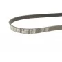Ремінь генератора BMW 5 (E39)/7 (E32) 92-03 M60/S62 (5PK980)