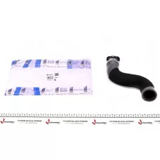 Патрубок інтеркулера (R) Renault Megane III 1.5 dCi 08-