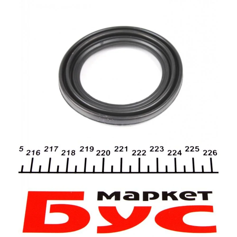 Ремкомплект супорта (переднього) VW Passat/Golf 10- (d=60mm) (+поршень) (TRW)