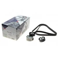 Комплект ременя генератора Peugeot 406/607/807/Citroen C4 2.2 HDI 00- (6PK1740)