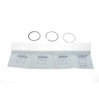 Кільця поршневі Opel Astra J/Insignia A 1.4 LPG 09- (73.00mm/+0.50) (1.2-2-1.2)