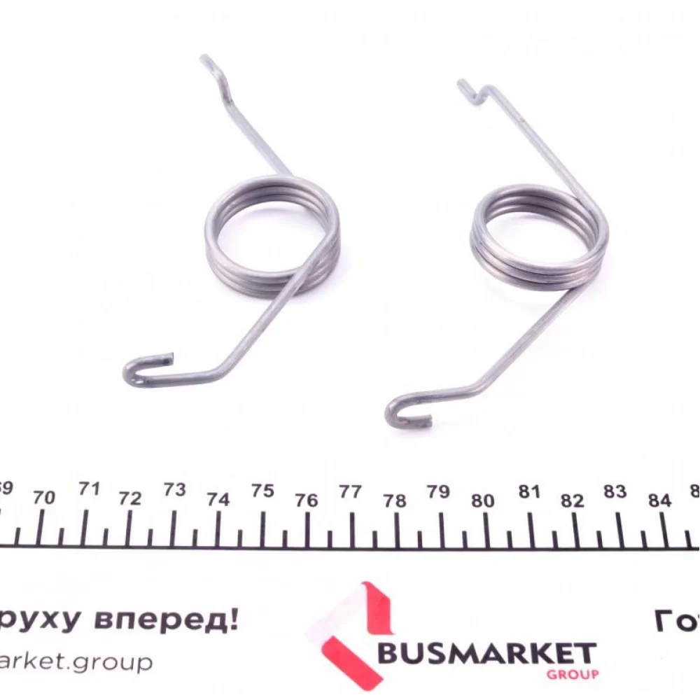 Пружини супорта (заднього) Audi A4/A6/VW Golf VI 94-13 (К-кт L+R)