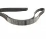 Ремінь генератора поліклиновий Peugeot 206/406/806/Expert/Fiat Scudo/Citroen C5/C8/Jumpy 1.9D/2.0HDI 95-
