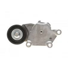 Натяжник ременя генератора Citroen/Peugeot/Ford 1.4HDi/1.6TDCi 01-