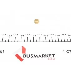 Заглушка блоку циліндрів (d=9mm) Латунь/Brass