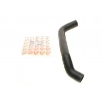Патрубок інтеркулера (L) Ford Transit 2.2TDCi/2.4TDCi/3.2TDCi 06-