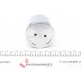 Поршень супорта (заднього) Opel Movano/Renault Master 10- (60x54mm) (Brembo)