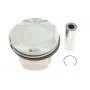 Поршень BMW 5 (F07/F10/F11)/6 (F12/F13)/7 (F01-F04)/X5 (E70) 08-18 (89.00mm/STD) N63