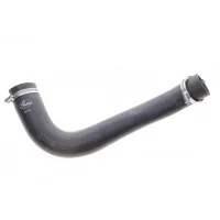 Патрубок інтеркулера Ford Transit 2.0/2.4TDCi/DI/TDE 00-