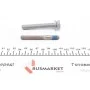 Комплект ГРМ Citroen C5/C6/C8/Fiat/Ford/Peugeot 2.2HDI 06-