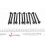 Болти головки (к-кт 12шт.) Opel Combo/Astra F/G/H/Corsa B/C/D/Meriva/Tigra 1.2-1.4 98- (M8x1.25x119)
