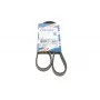 Ремінь генератора Renault Mascott 99-05/Iveco Daily 99-06/Mazda 323 89-96/MX-3 93-98 (4PK1015)