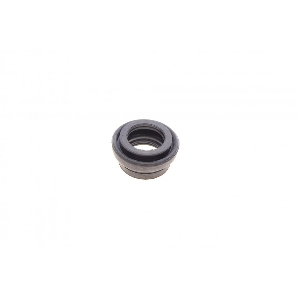 Ремкомплект супорта (заднього) Toyota Mark X 04-/Lexus IS 05- (d=43mm) (Aisin)
