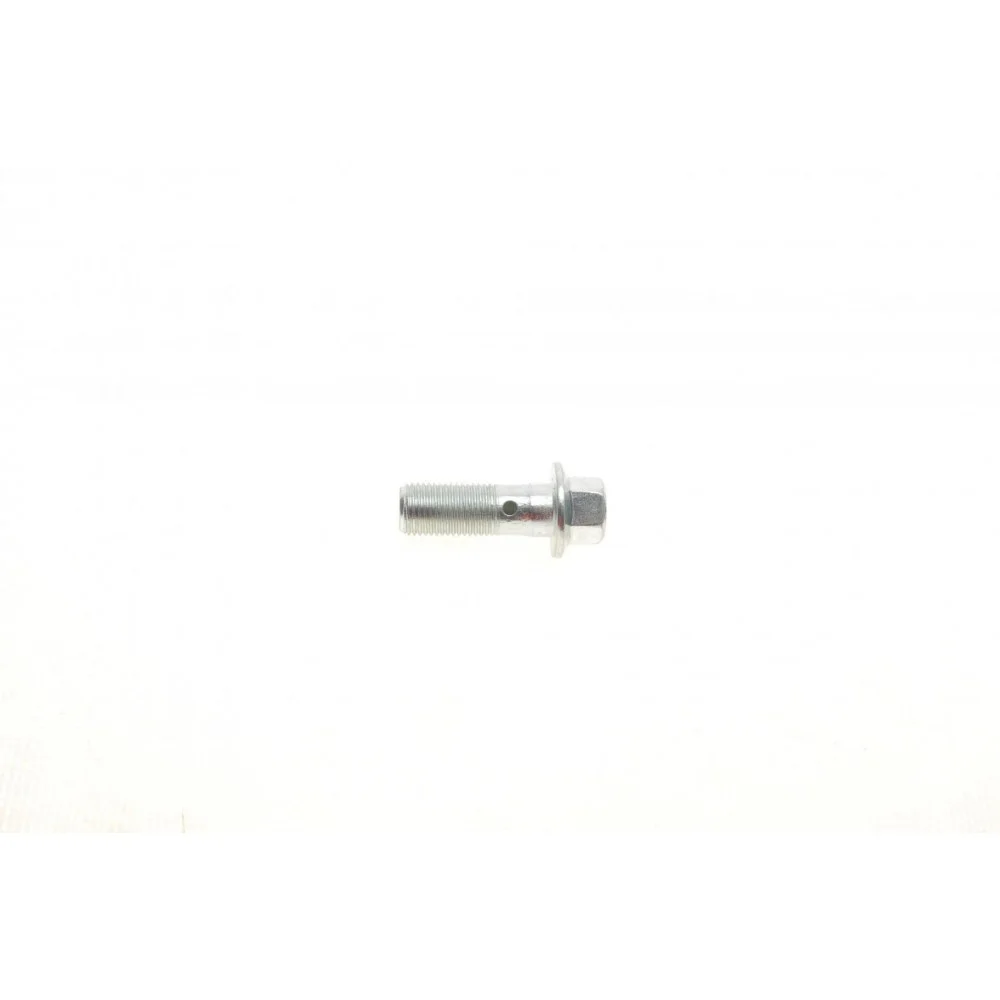 Болт Banjo (банжо) M10x1mm (11x37)