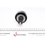 Ролик ГРМ Hyundai Santa Fe/Kia Sportage 2.0CRDi/2.2CRDi 06- (паразитний) (70х27)