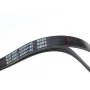 Ремінь генератора Fiat Palio 1.2 97-/Land Rover Freelander 1.8i 98-06/ Toyota Corolla 2.0 D-4D 97-04