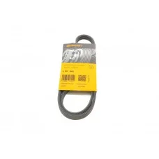 Ремінь генератора Citroen Jumper/Peugeot Boxer 2.5TD 94-02/Hyundai Santa Fe/Sonata 2.0-2.4 16V 01-06