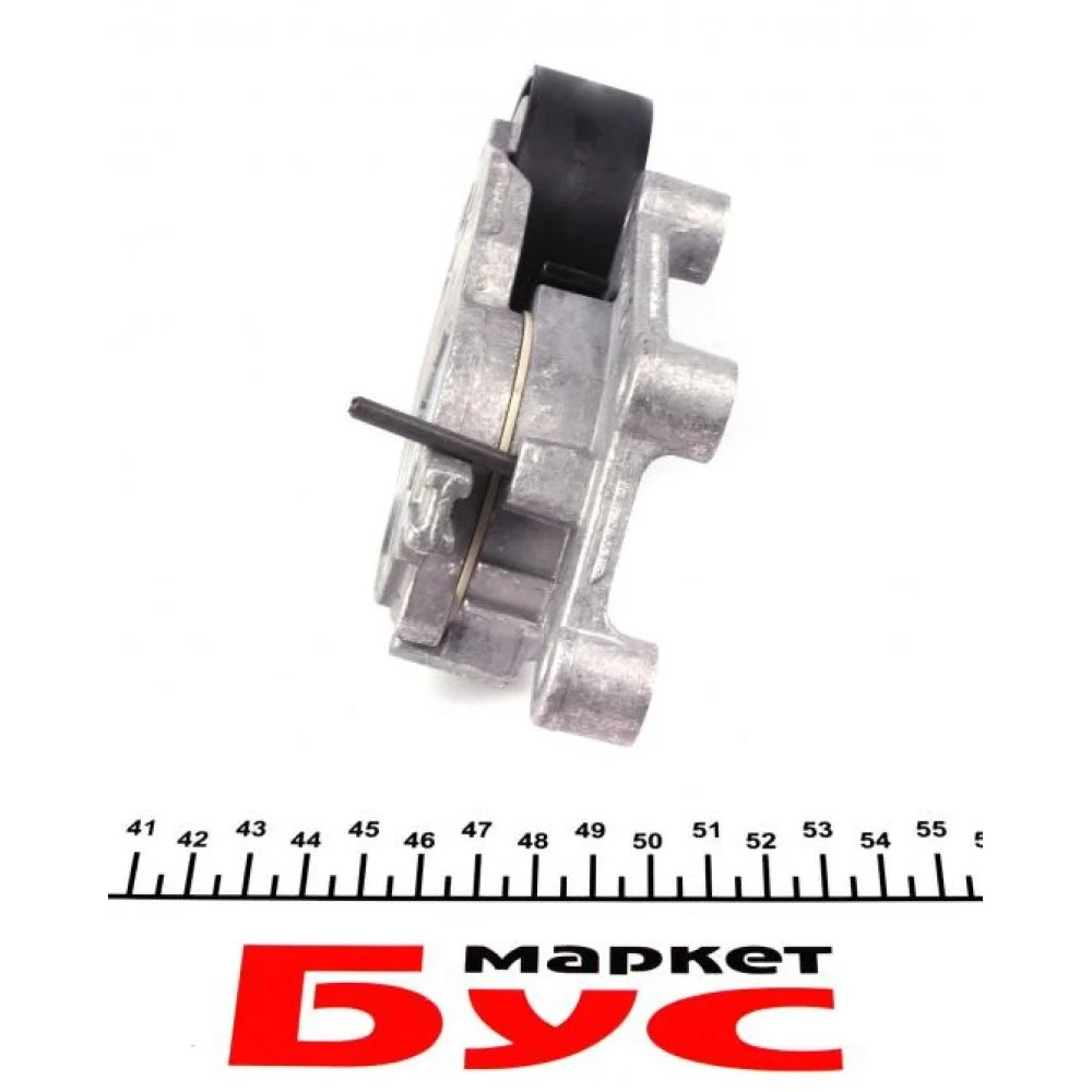 Натяжник ременя генератора Citroen/Peugeot/Ford 1.4HDi/1.6TDCi 01-