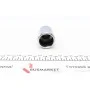 Поршень супорта (заднього) Ford Mondeo V/S-Max/Audi A3 14- (38x53mm) (Ate)