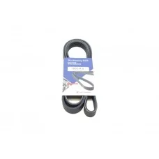 Ремінь генератора Fiat Scudo/Citroen Berlingo/VW Golf IV 1.8/1.9TDI 97- (6PK1660)
