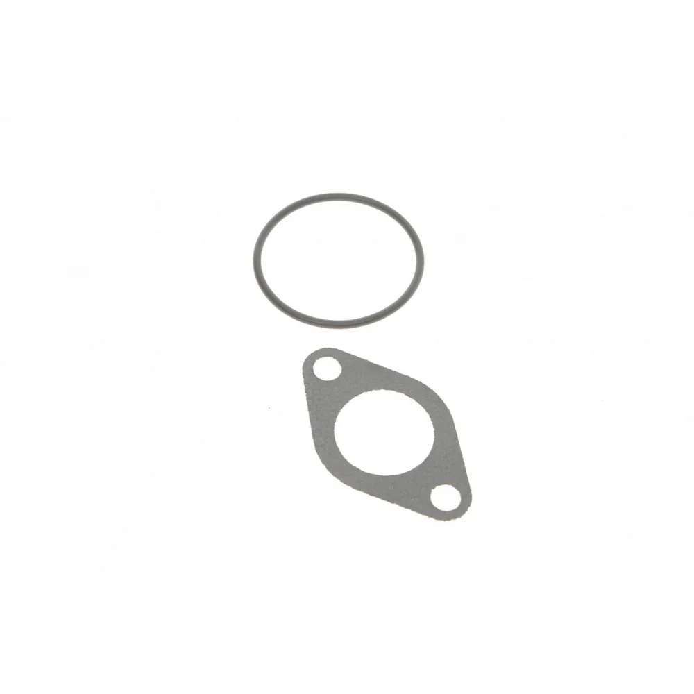 Прокладка клапана EGR VW Golf IV 1.9 TDI 97-05