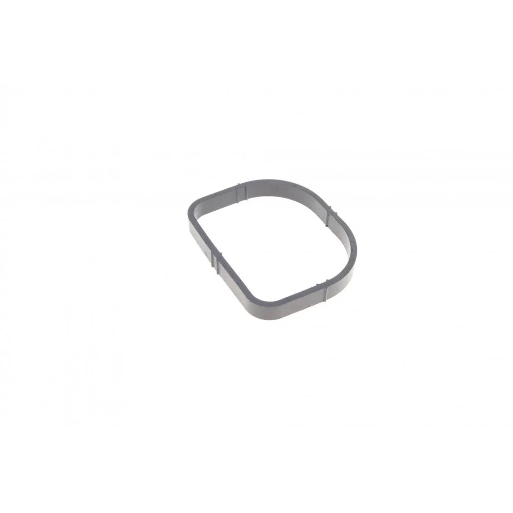 Прокладка колектора впускного BMW X3 (E83) 05-11 (к-кт), N42/N45/N46