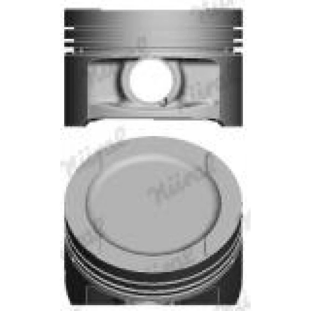 Поршень VW Passat/Golf 1.6 95-04 (81.00mm/STD)