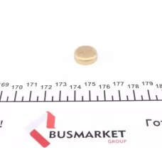 Заглушка блоку циліндрів (d=17,4mm) Латунь/Brass
